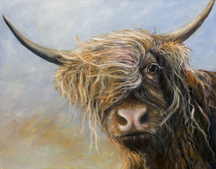 highland cow painting